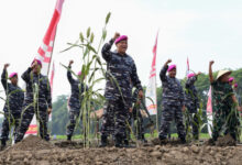 Prajurit Menkav 2 Mar menanam pohon Sorgum di lahan tidur. Foto: Munawir - Menkav 2 Mar