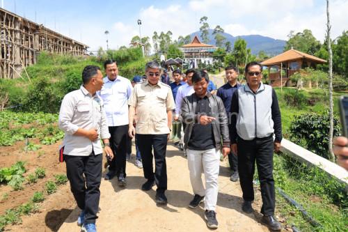 Menaker, Yassierly meninjau lokasi pelatiahn agroforestry di Kramatwangi, Kabuaten Garut. Foto Humas Kemnaker