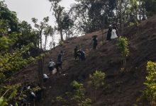 Petani Baduy tengah membersihkan ladang untuk ditanam padi huma. Foto: LKBN Antara