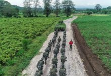 Latihan Opsat Darat dilengkapi Ranpur Tank PT M. Foto: Ahmad Munawir - Menkav 2 Mar