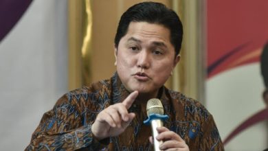 Menpora, Erick Thohir. Foto: Antara