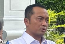 Prasetyo Hadi, Mensesneg. Foto Antara