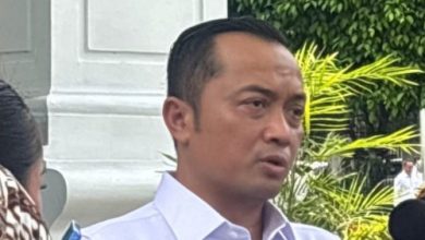 Prasetyo Hadi, Mensesneg. Foto Antara