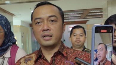 Mensesneg RI, Prasetyo Hadi. Foto: Antara