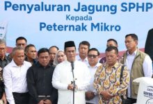 Menteri Pertanian, Andi Amran Sulaiman soal penyaluran jagung SPHP. Foto Antara