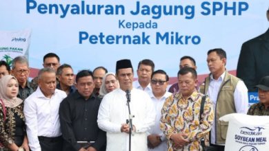 Menteri Pertanian, Andi Amran Sulaiman soal penyaluran jagung SPHP. Foto Antara