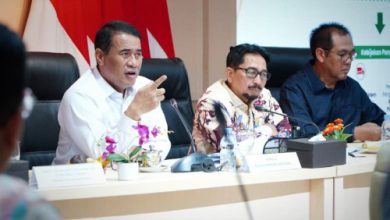 Andi Amran Sulaiman, Menteri Pertanian yang juga Kepala Bapanas. Foto Antara
