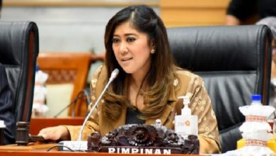 Meutya Hafid, Menteri Komdigi RI. Foto: Istimewa