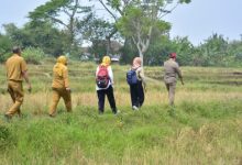 Tim DPKP Kab Tangerang monitoring dampak kekeringan. Foto: Diskominfotik Kab Tangeang