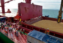 Mendag Zulkif Hasan melihat pembongkaran mutan kedelai impor di Cilegon. Foto: Kemendag RI