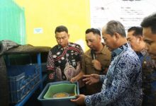 Wakil Bupati Serang, Muhammad Najib Hamas melihat budi daya maggot. Foto Antara