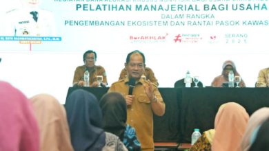 Wakil Bupati Serang, Najib Hamas di pelatihan UMKM. Foto: Arif Sholeh