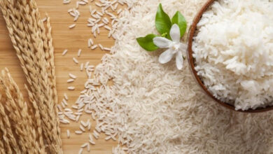 Makanan pokok warga Indonesia, Nasi Putih. Foto: Istimewa