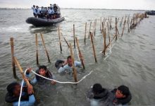 Nelayan ikut membongkar pagar laut 30,16 Km di perairan Tangerang. Foto: Antara