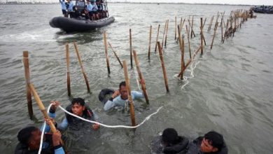 Nelayan ikut membongkar pagar laut 30,16 Km di perairan Tangerang. Foto: Antara