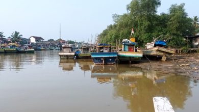 Kegiatan nelayan di muara Laut Sumur. Foto: Antara