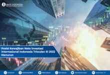 Ilustrasi posisi investasi internasional Indonesia. Foto: Bank Indonesia