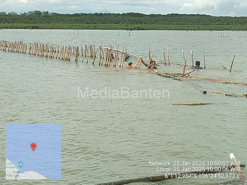 Patok bambu di pantai Tanara, Kabupaten Serang yang disebut bekas budi daya kerang hijau. Foto: Yono