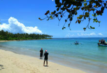 pokdarwis ujung kulon