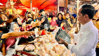 Presiden RI, Joko Widodo di Pasar Natar, Lampung Selatan. Foto: BPMI SatPres RI