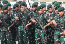Ilustrasi tim gabungan TNI. Foto: Istimewa