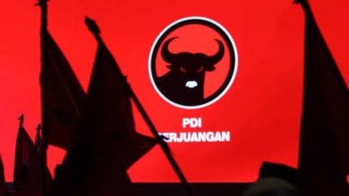 Siluet PDI Perjuangan. Foto: Istimewa