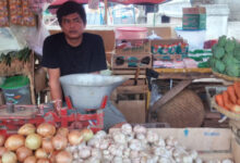 pedagang cabai rawit