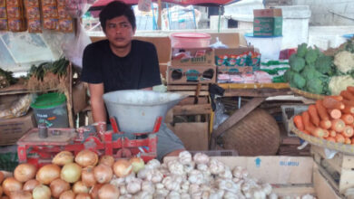 pedagang cabai rawit