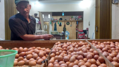 Pedagang telur ayam di Pasar Rau. Foto: Aden Hasanudin