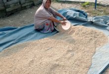 Salah satu pelaku gacong di Lebak. Foto: LKBN Antara