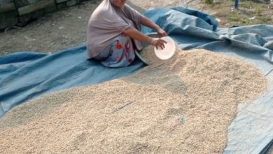 Salah satu pelaku gacong di Lebak. Foto: LKBN Antara