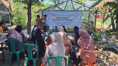 Pelatihan Budidaya Bayam di Desa Pasir Tanjung, Karawang. Foto: Humas Pertamina RJBB