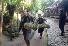 Para pemanggul durian Baduy. Foto: LKBN Antaraa