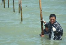 Personel TNI AL tengah membongkar pagar laut Tangerang. Foto: Antara