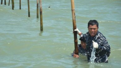 Personel TNI AL tengah membongkar pagar laut Tangerang. Foto: Antara