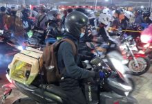 Pemudik motor membawa mucik kucing peliharaan ke Lampung. Foto Antara