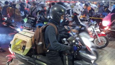 Pemudik motor membawa mucik kucing peliharaan ke Lampung. Foto Antara