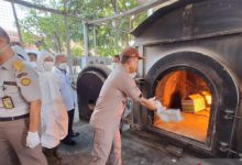 BB Karantina Pertanian Soetta musnahkan ular phyton AS. Foto: LKBN Antara