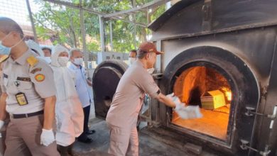 BB Karantina Pertanian Soetta musnahkan ular phyton AS. Foto: LKBN Antara