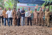 Polsek Cikande melakukan penanaman jagung serentak. Foto Yono