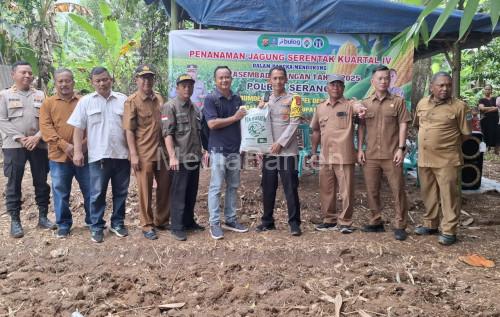 Polsek Cikande melakukan penanaman jagung serentak. Foto Yono