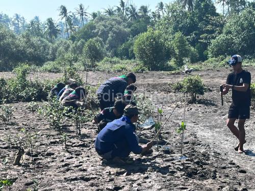 Penanaman pohon mangrove di Kabupaten Pandeglang. Foto Nana Amdan