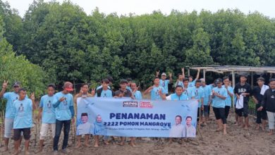 Penanaman pohon mangrove oleh Milenial Serang Bahagia. Foto: Yono