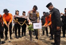 Kapolda Banten, Irjen Pol Suyudi Ario Seto menanam seribu pohon mangrove. Foto: Antara