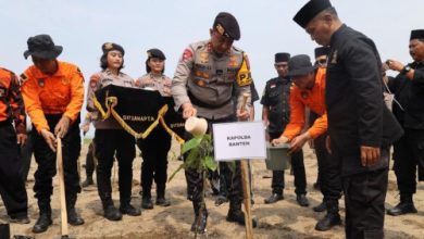 Kapolda Banten, Irjen Pol Suyudi Ario Seto menanam seribu pohon mangrove. Foto: Antara