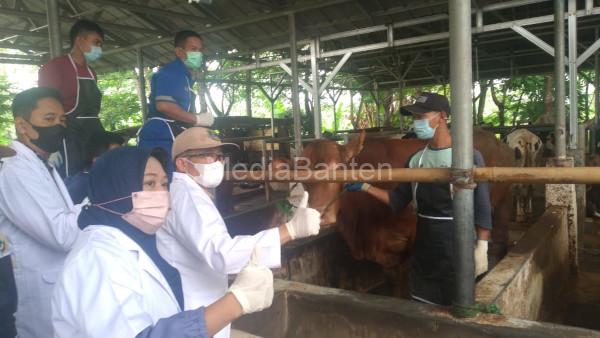 Pencanangan vaksinasi PMK tahun 2023 di Banten. Foto: Biro Adpim Banten