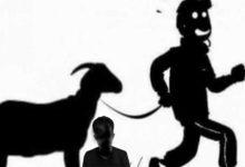 Ilustrasi pencurian kambing. Foto: Istiemewa