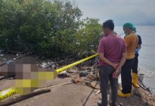 Penemuan mayat pria membusuk di antara pohon bakau di Pantai Domas. Foto: Yono