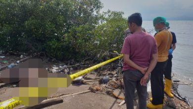 Penemuan mayat pria membusuk di antara pohon bakau di Pantai Domas. Foto: Yono