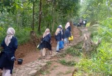 Pengunjung permukiman masyarakat Baduy. Foto: Antara